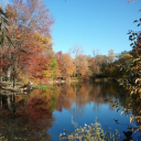 METRO HORT GROUP, INC